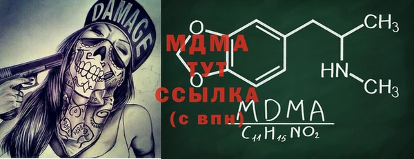гидра Надым