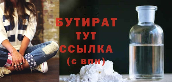 гидра Надым