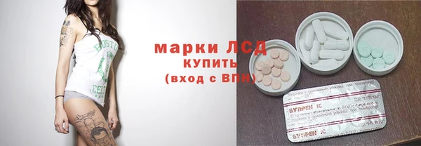 гидра Надым