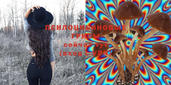 mix Нея