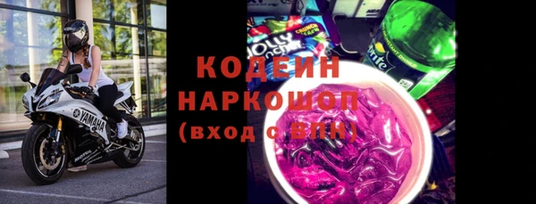 гидра Надым