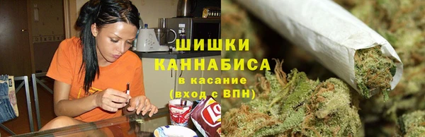 гидра Надым