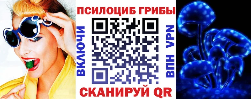 Псилоцибиновые грибы Psilocybine cubensis  купить  сайты  Переславль-Залесский 