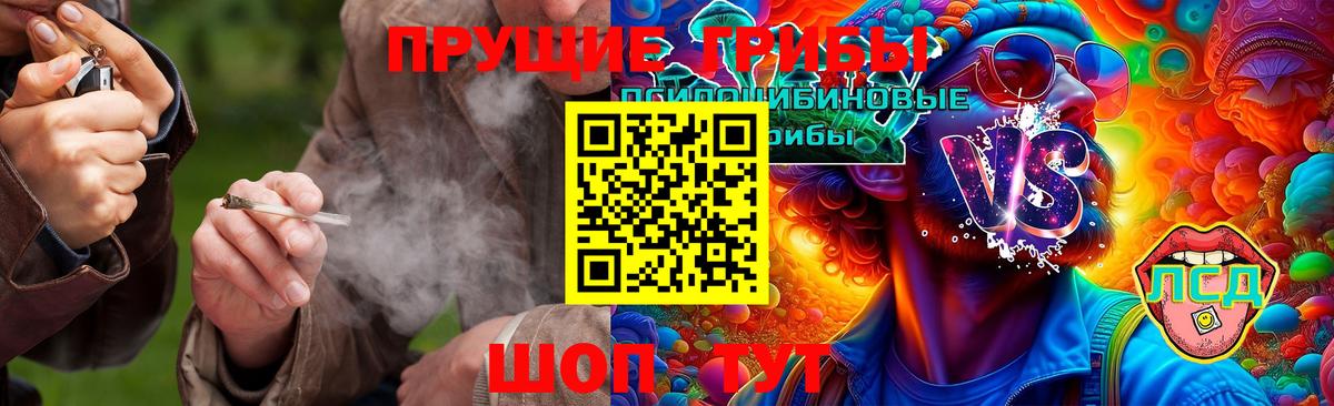 Переславль-Залесский  Галлюциногенные грибы мицелий  Вход с VPN 